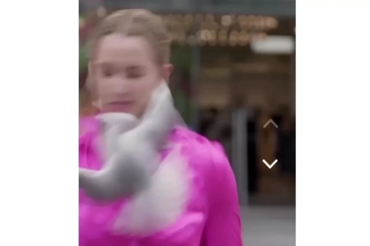    В Новой Зеландии птица разодрала лицо репортеру в прямом эфире