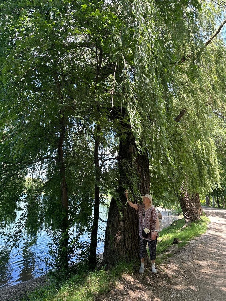 Спокойно прогуляться вокруг городского озера, Ессентуки