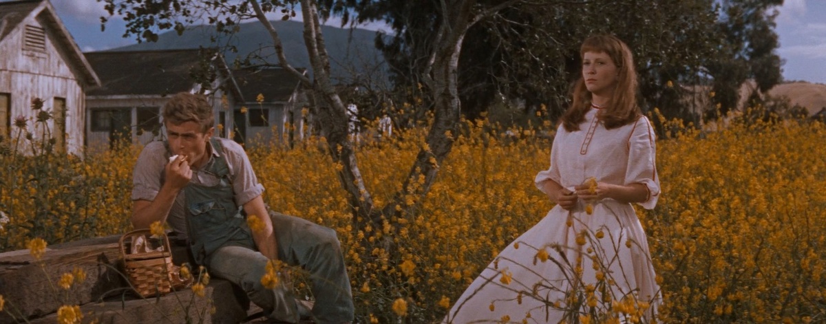 Кадр из фильма "К востоку от рая" (1955)