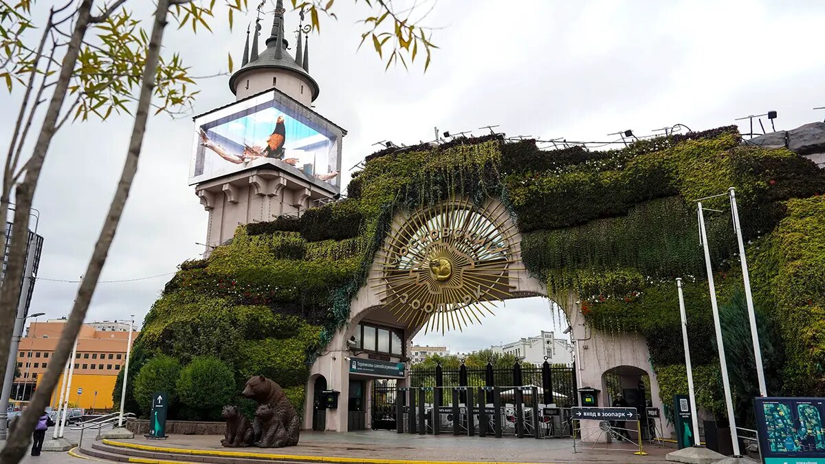    Фото: vm.ru Павел Евсеев