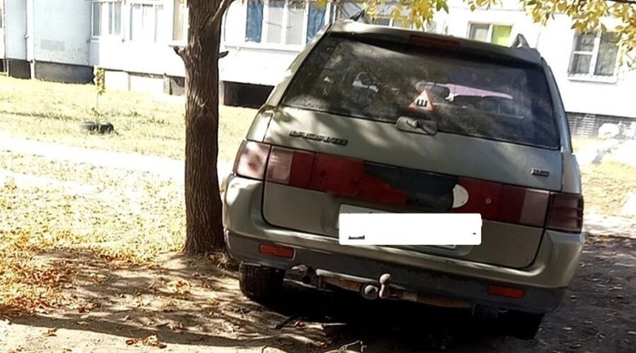    Фото: Администрация БМР