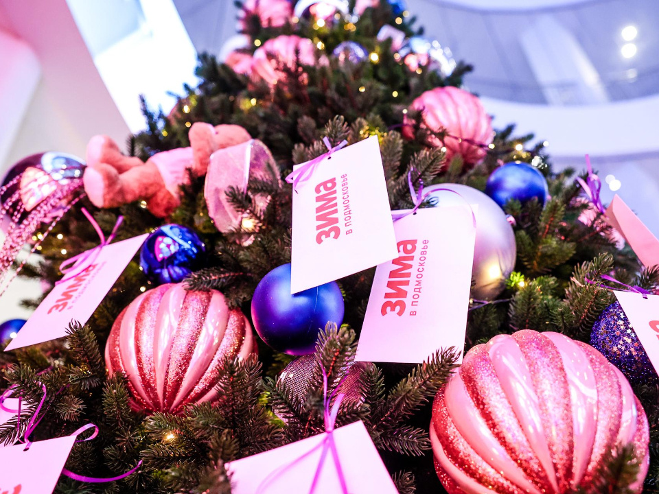    Фото: пресс-служба администрации городского округа Красногорск