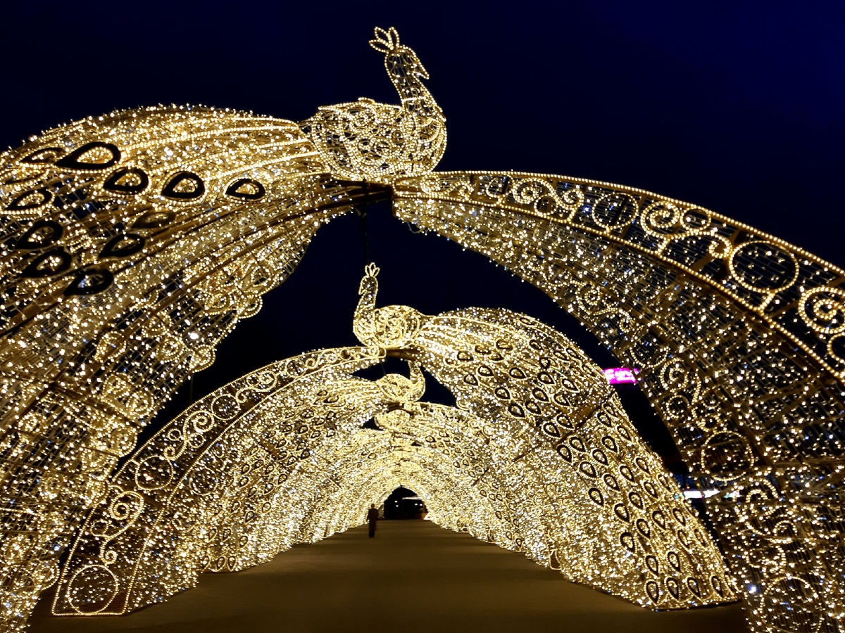 Новогодняя Москва 2026. Световой тоннель-портал «Павлин» у цирка на проспекте Вернадского.