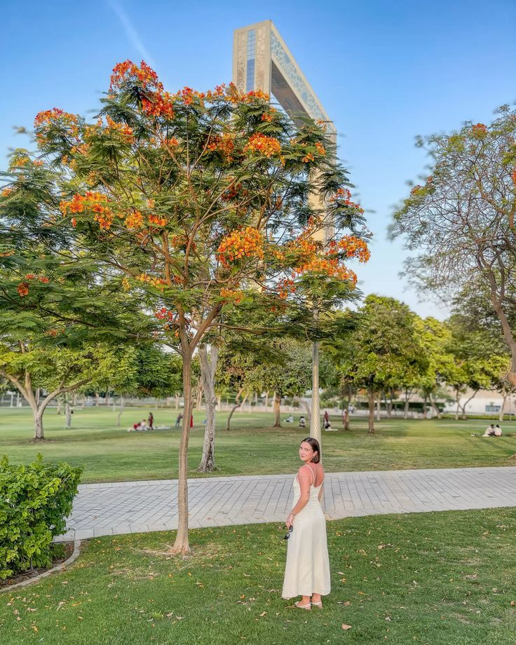 Zabeel Park и Dubai Frame: классика городского парка
Zabeel Park один из самых известных городских парков, большой зелёный остров между районами Oud Metha и World Trade Centre.