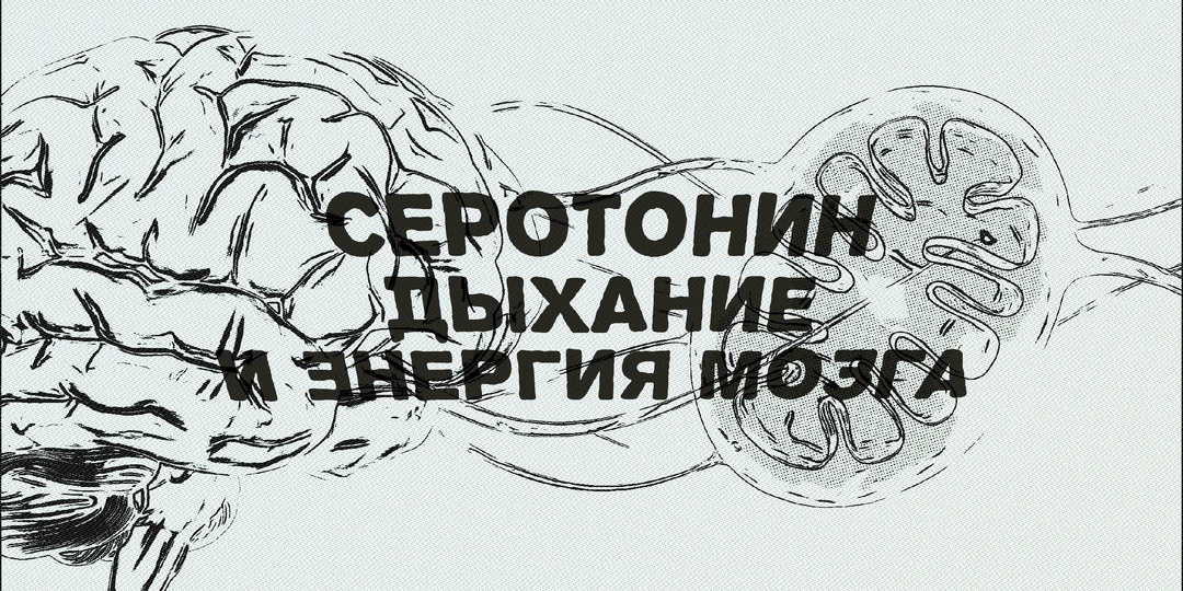 Серотонин, дыхание и энергия мозга