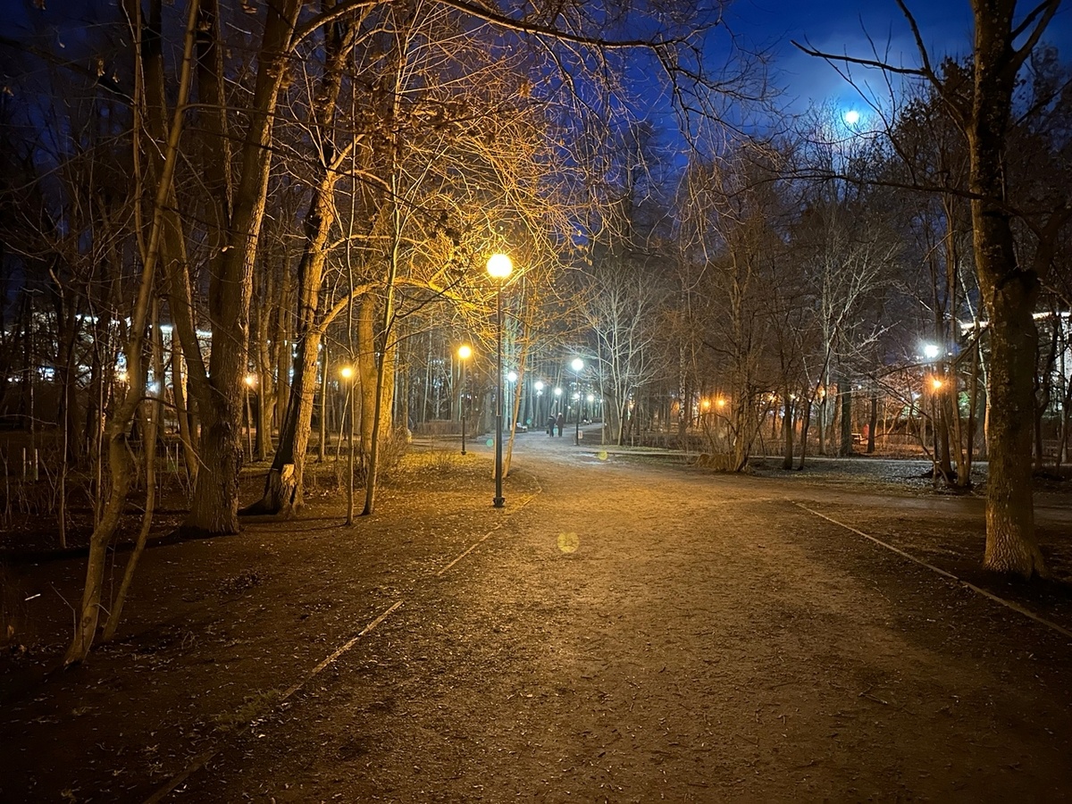    фото: © Администрация Петрозаводска / VK