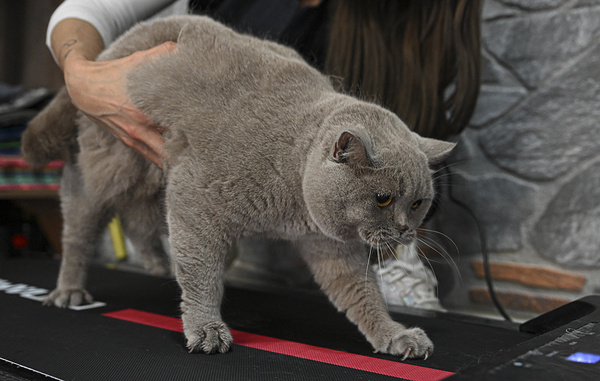 Harun Ozalp/Anadolu via Getty Images
