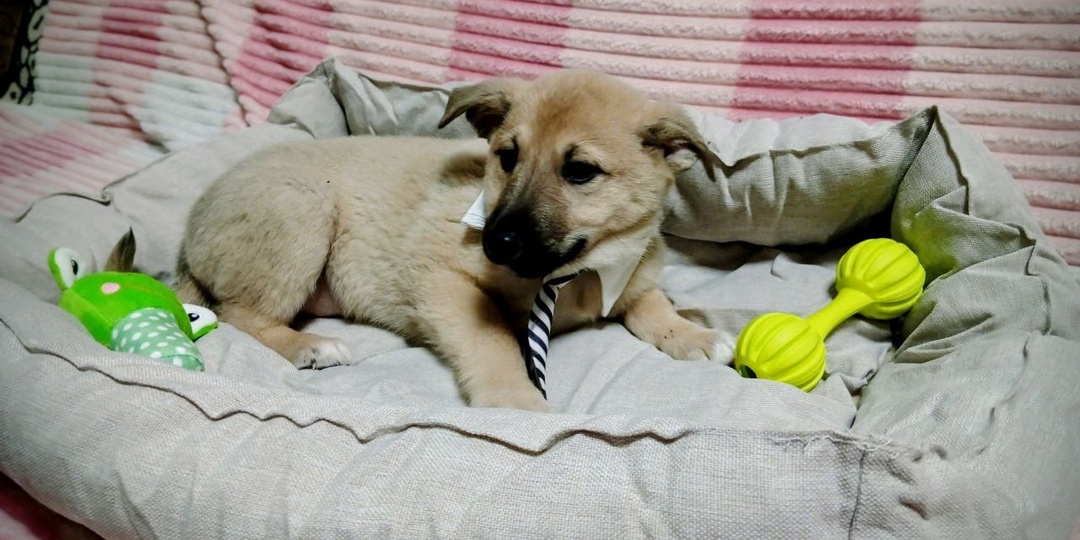 Такая замечательная и тёплая традиция на нашем канале, которую мы очень ценим