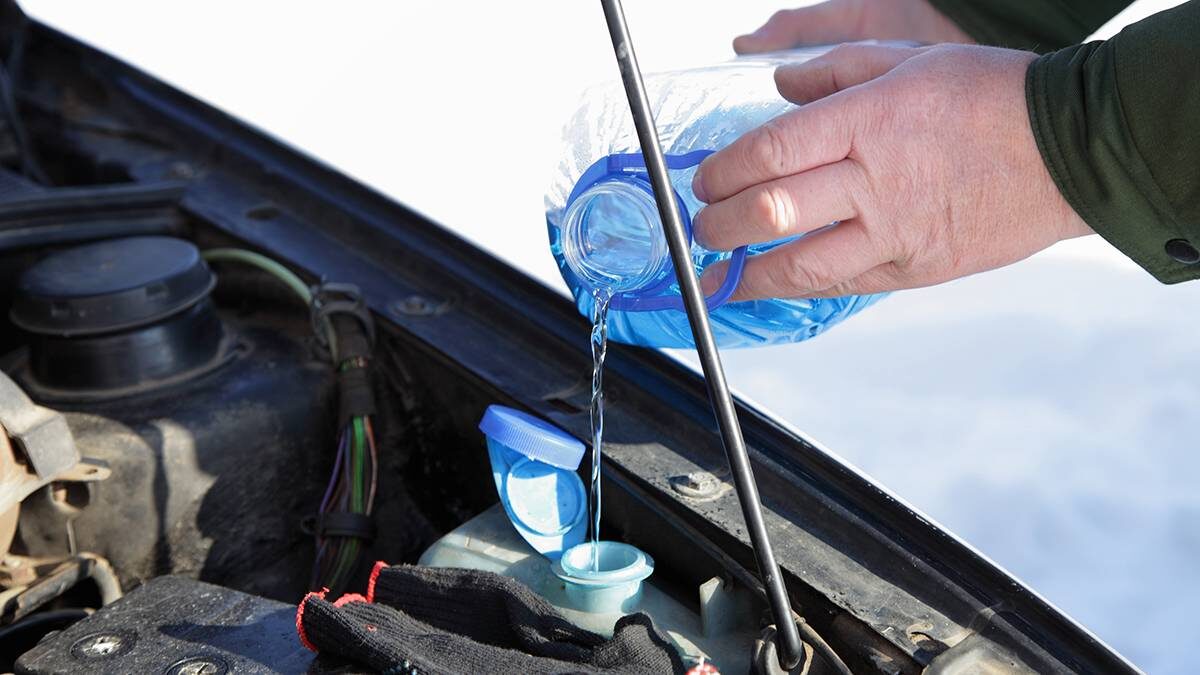    Фото: Shutterstock