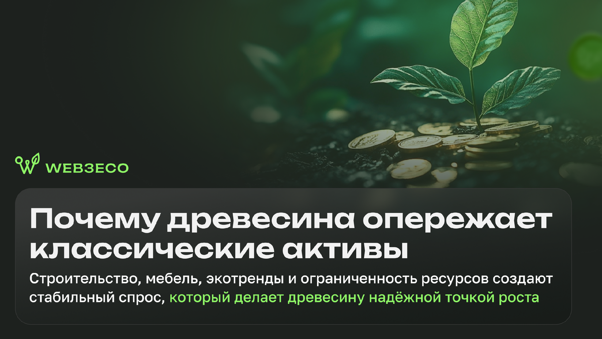 Почему древесина опережает классические активы. Строительство, мебель, экотренды и ограниченность ресурсов создают стабильный спрос, который делает древесину надёжной точкой роста