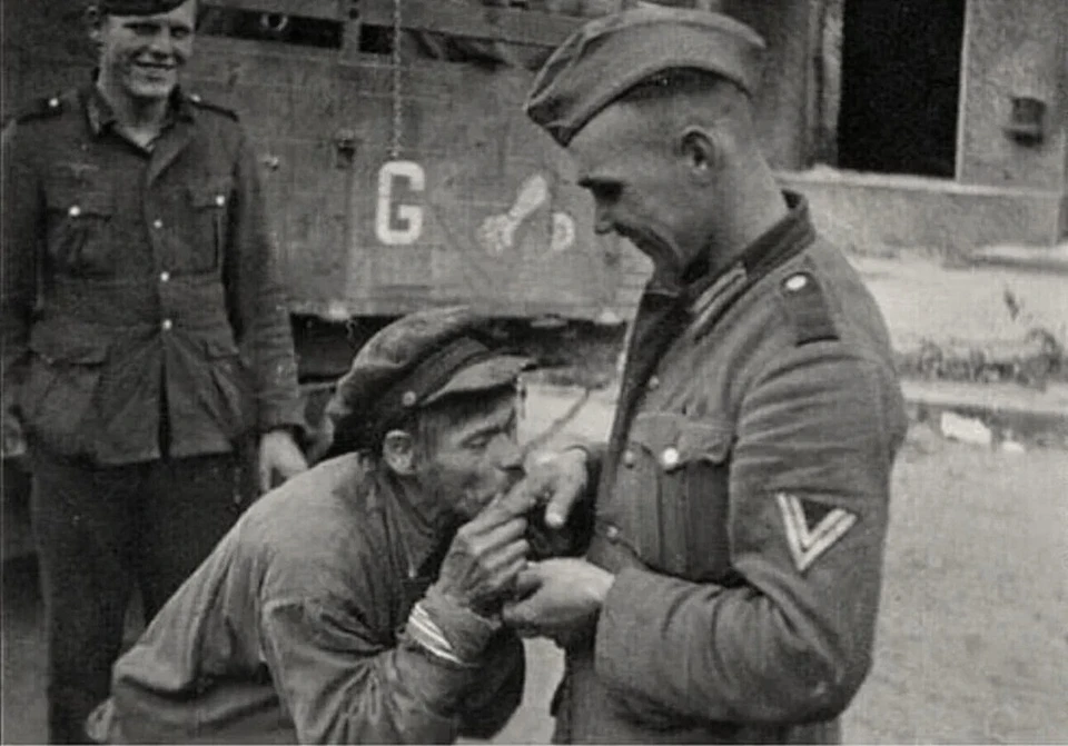 Яндекс картинки