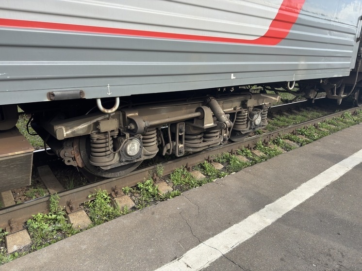     Фото: Alexander Legky/Global Look Press