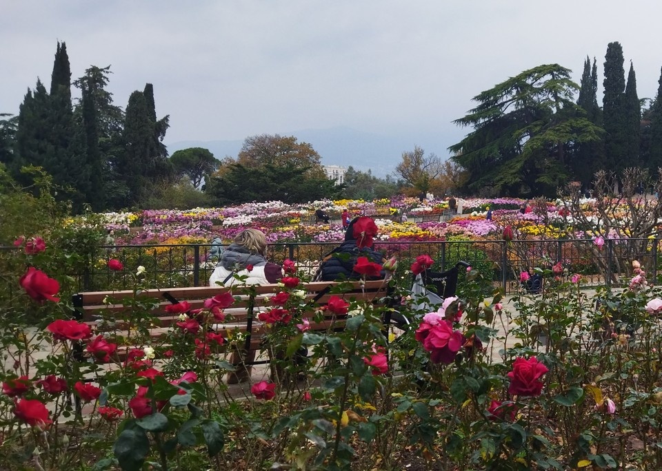    Первые дни зимы в Никитском саду. Фото: Вера Зыкова/Vk