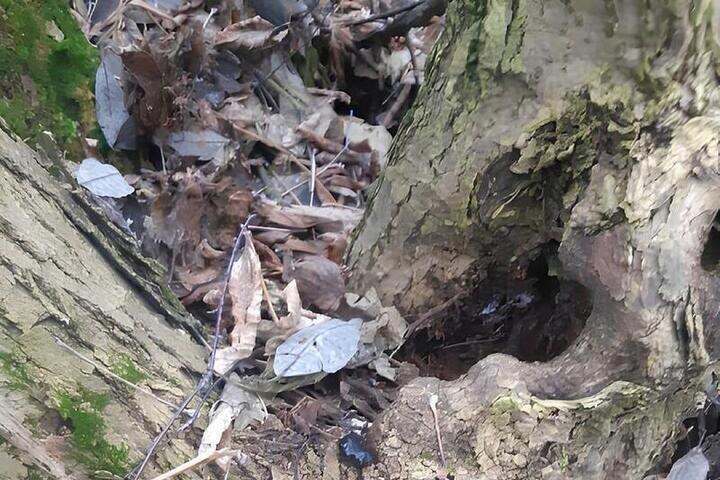 Во Владимире оперативники задержали 17-летнего студента-закладчика