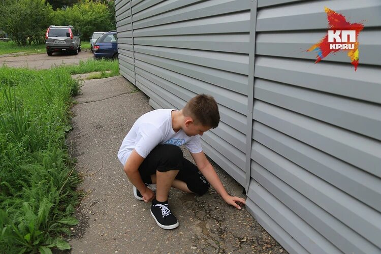 Деньги выдуло из-под обшивки. Фото: Мария Ленц