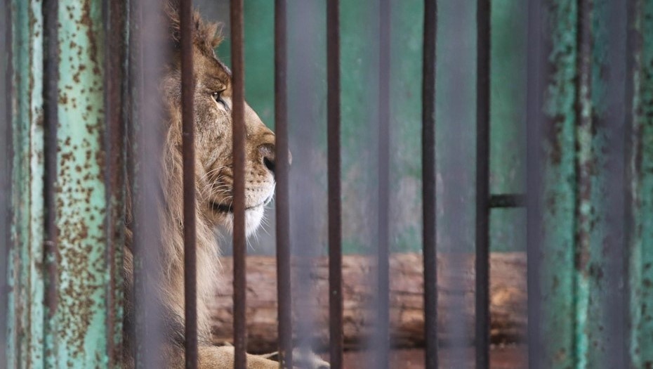    Автор фото: Коньков Сергей