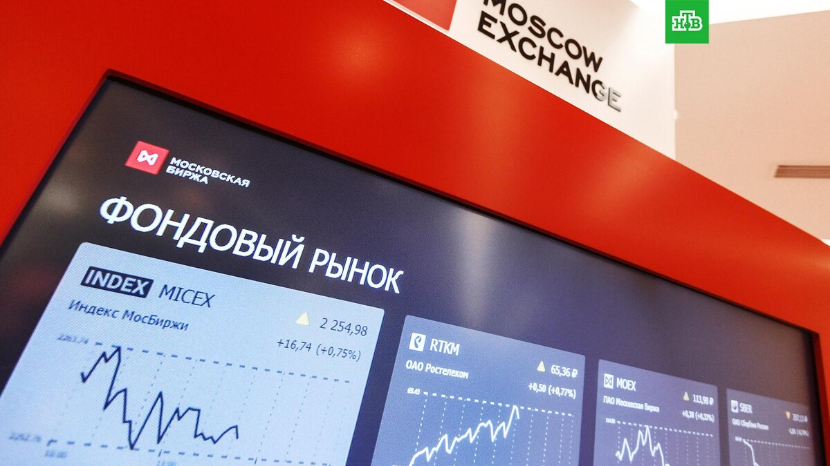    Фото: РИА Новости © 2025, Григорий Сысоев