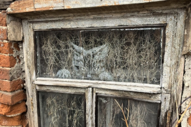    Фото: Станислав Рик