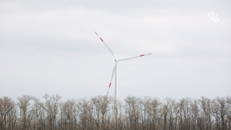      Фото: ИА «Победа26»