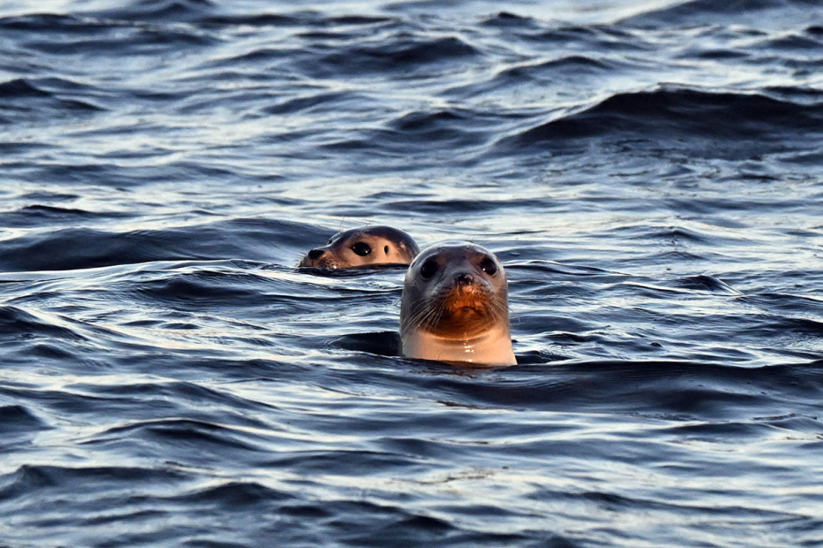    Federico Gambarini/dpa/Global Look Press