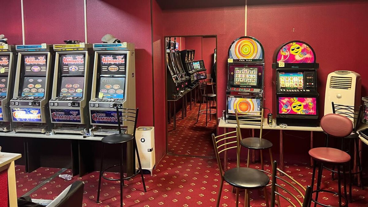    Фото: t.me/gsuskrf_spb