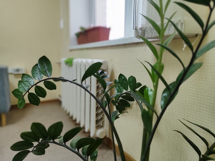    Фото: Пруфы