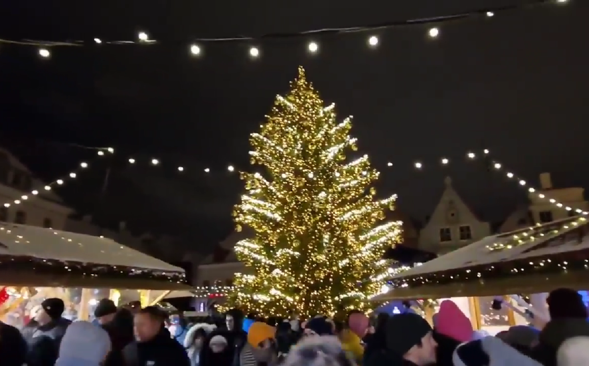 Елка в Таллине на ратушной площади