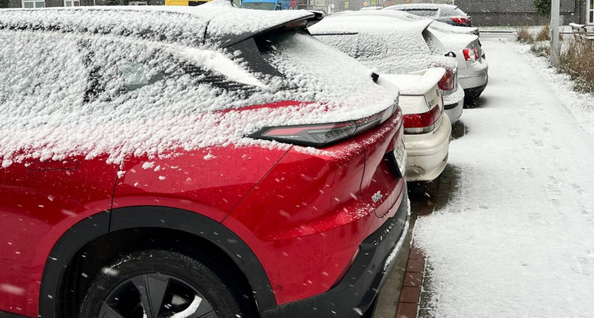    Фото: Первый городской канал Калининград