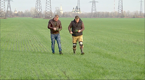    /  ФОТО предоставлено Пресс-центром ФГБУ Россельхозцентр по Ростовской области Администратор