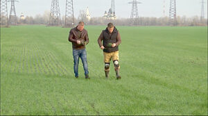 /  ФОТО предоставлено Пресс-центром ФГБУ Россельхозцентр по Ростовской области Администратор  📷
