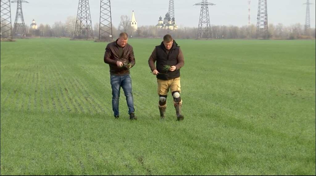    ФГБУ "Россельхозцентр Валерия Стальная