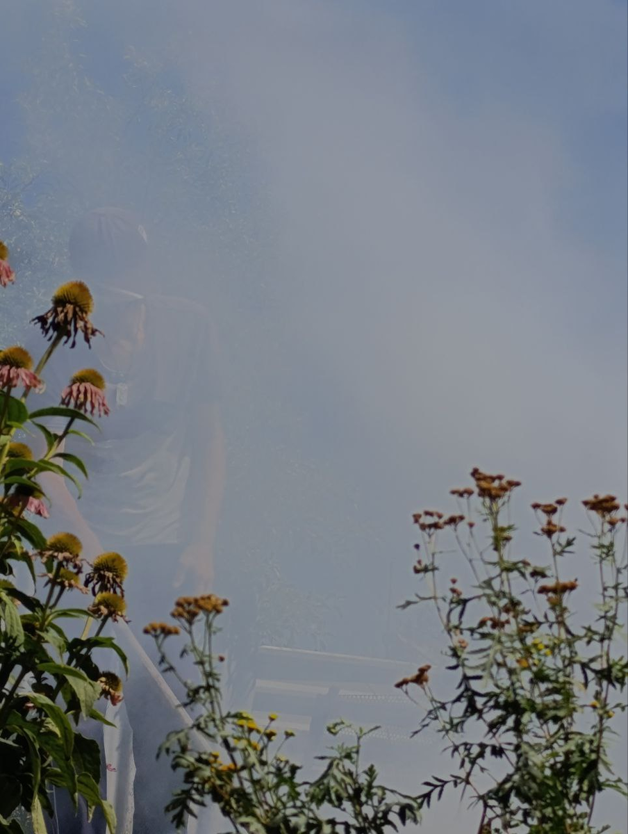 Рудбекия – канал про цветы.