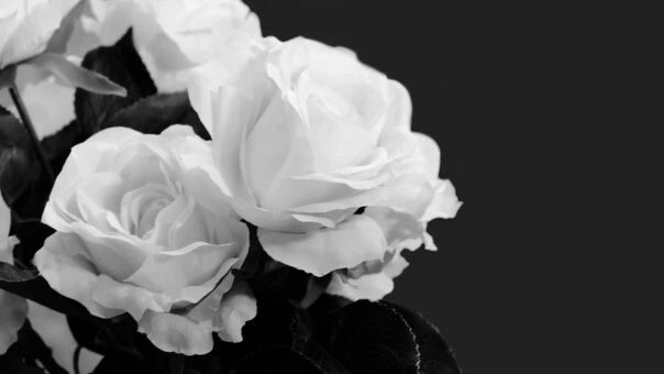    Фото: ElenaEmiliya/Shutterstock/Fotodom