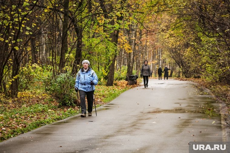    Леса должны быть доступны для людей, отметил Мишустин