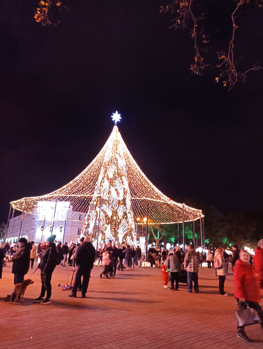 Новогодняя ёлка на набережной Геленджика