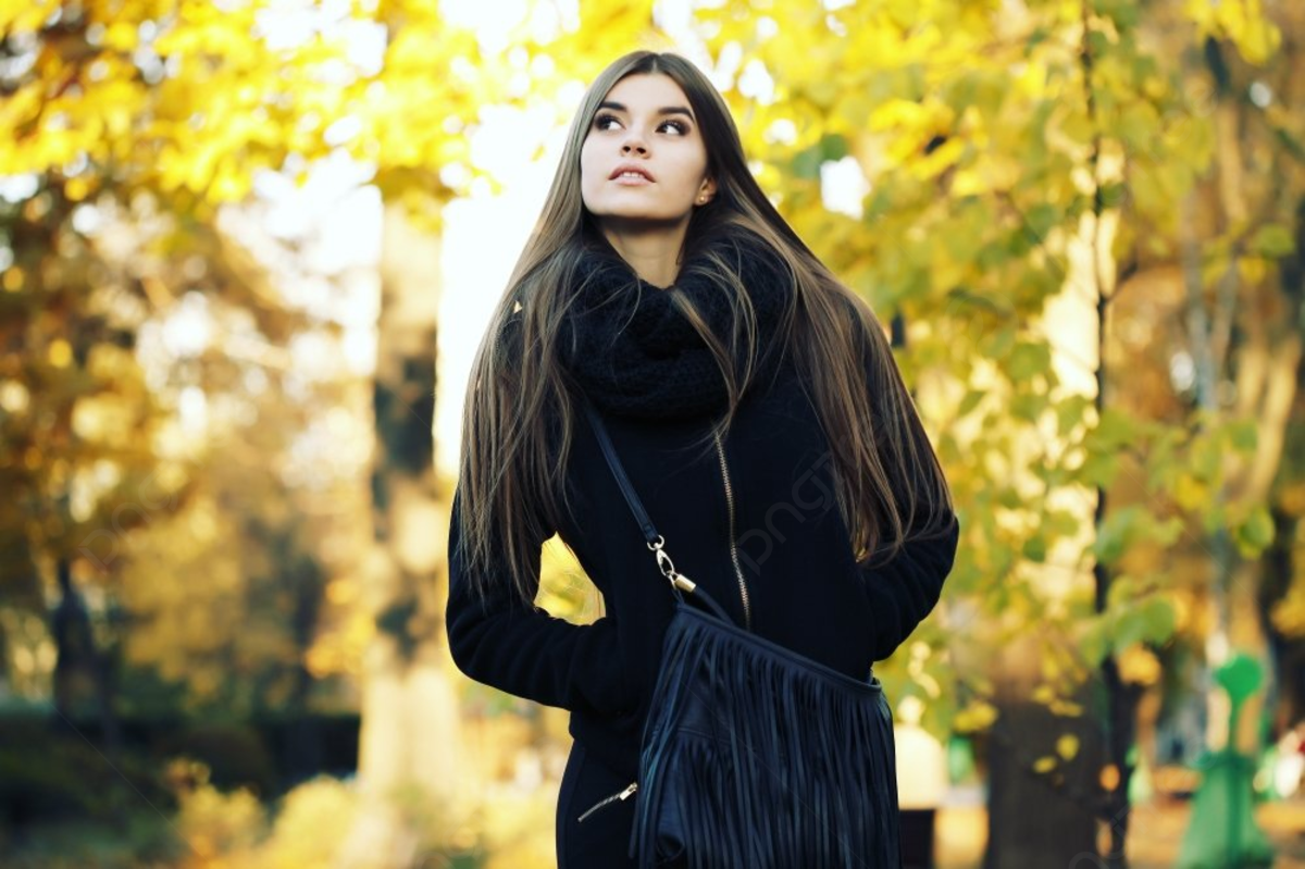 Яндекс. Картинки