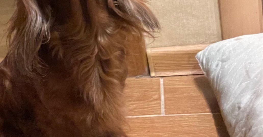 📣 ПЕТЕРБУРГ