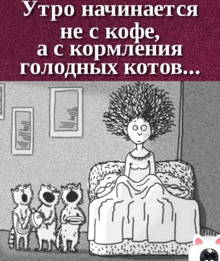 Корми скорее нас!!!