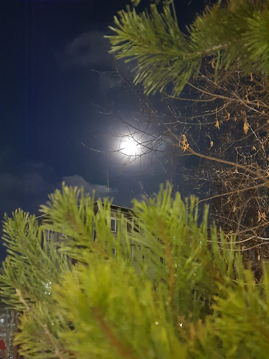 Растущая луна