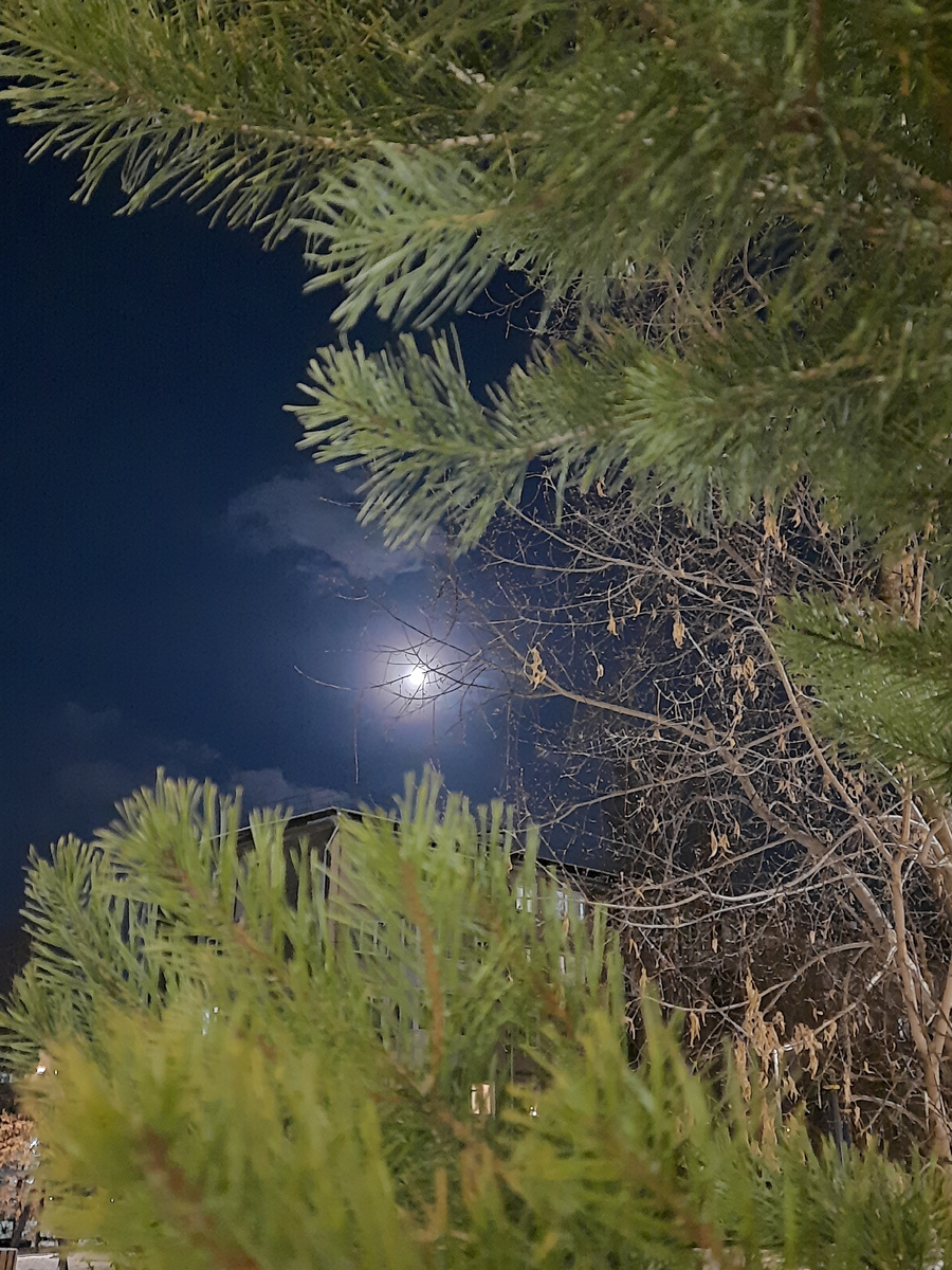 Растущая луна