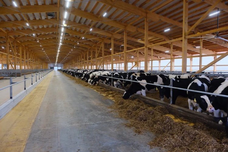    Фото: Правительство Пермского края