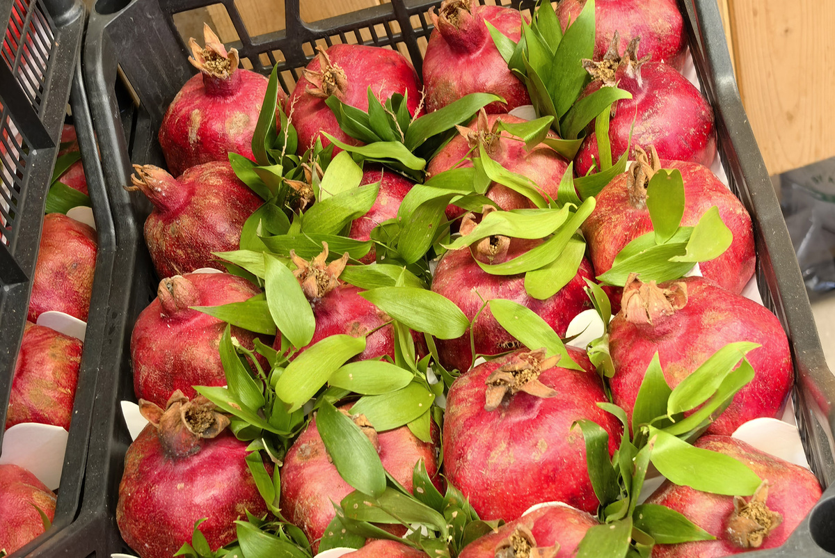 Нутрициолог уточнила, что грант нужно есть правильно.  Фото: Фото: ФедералПресс / Ксения Кобалия