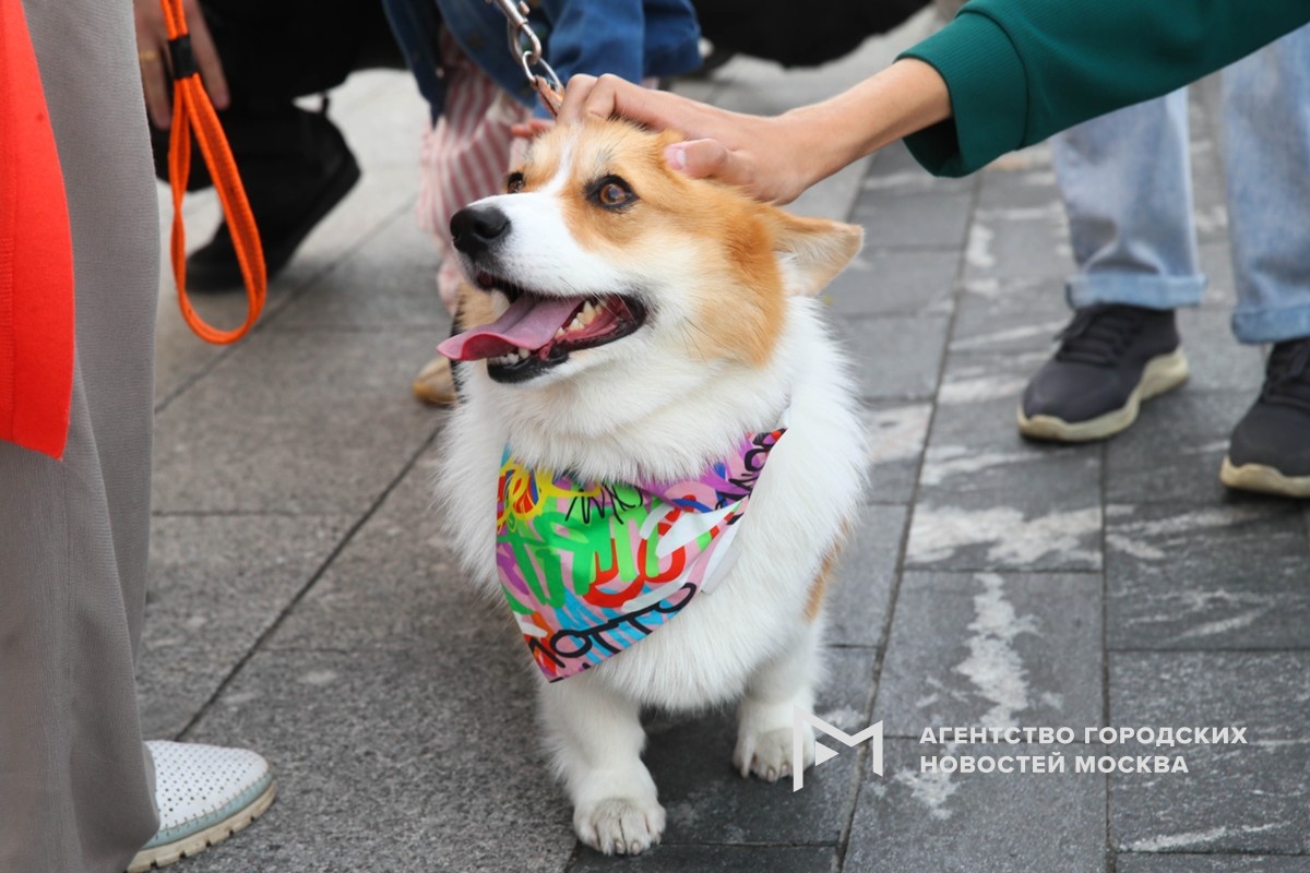 Фотограф: Василий Кузьмичёнок