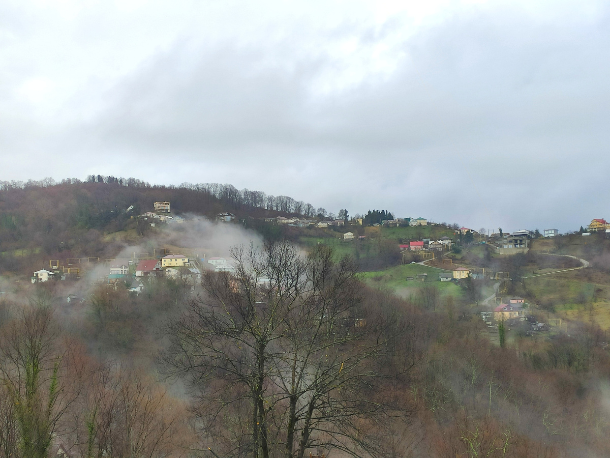 садовые товарищества