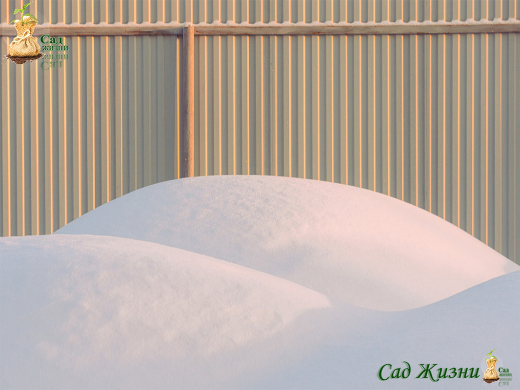 Заборы: тихие мастера по созданию сквозняков