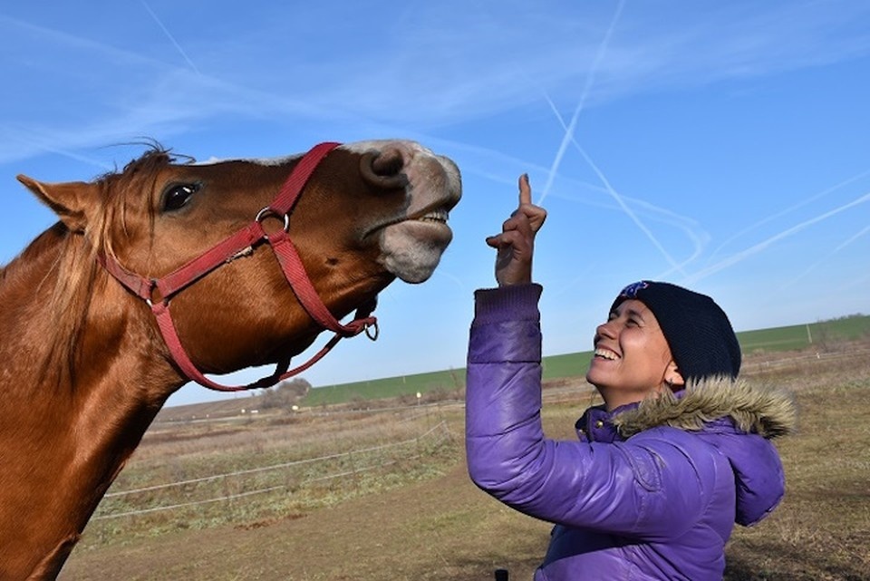    Сегодня донская порода лошадей находится на грани исчезновения. Мария ГИЧЕНКО