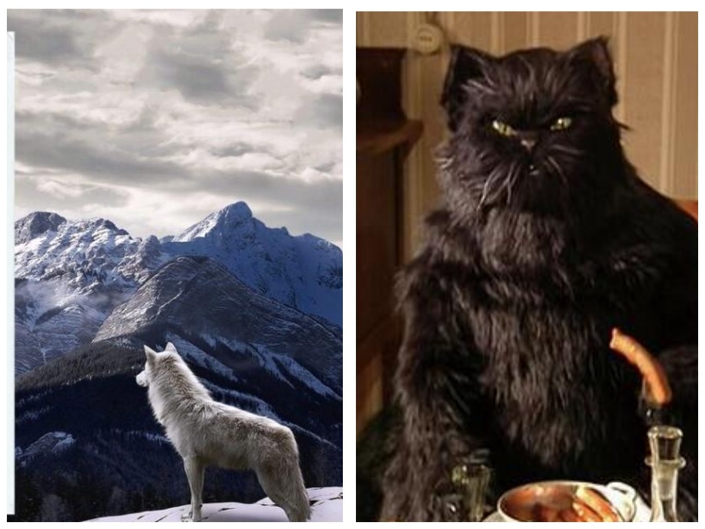 Иногда звери в книгах человечнее, чем люди.