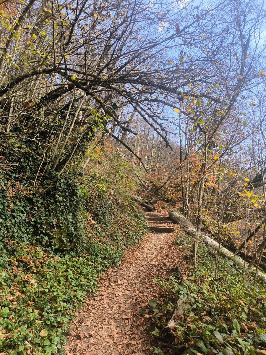 Только вперёд! 