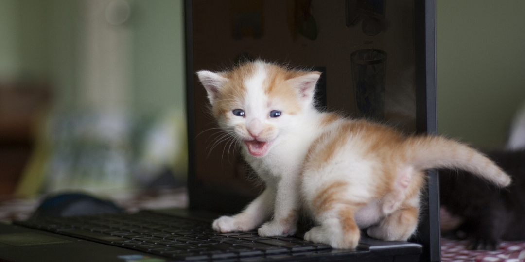 Жидкий металл вместо термопасты в ноутбуке: спасение от перегрева или риск замыкания