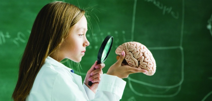 источник яндекс картинки